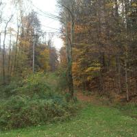 Old Sweeny Hill grade