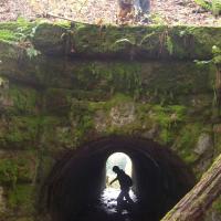 Stone Culvert is about 100 feet long!