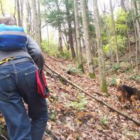 Steep grade! (Hard to get good pix when you follow)