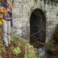 N side of culvert ...about 10 feet high!